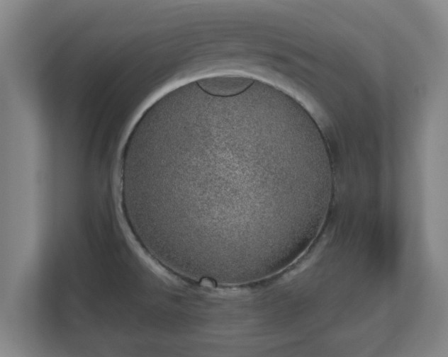 X0000110981526200906261419