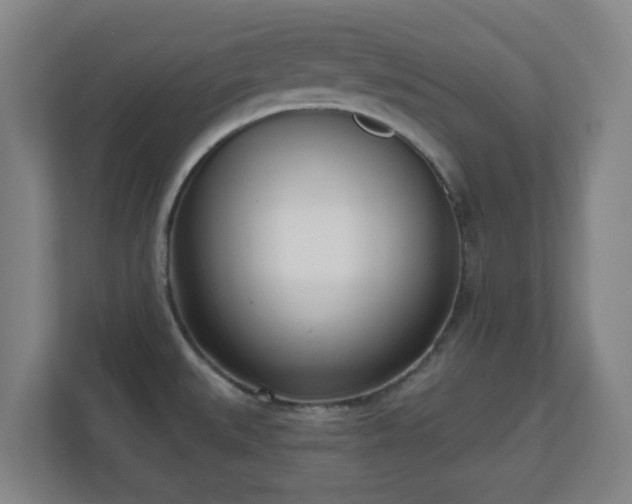 X0000110981527200906261419