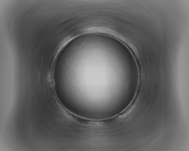 X0000110981529200906261419