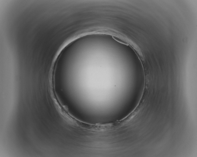 X0000110981530200906261419