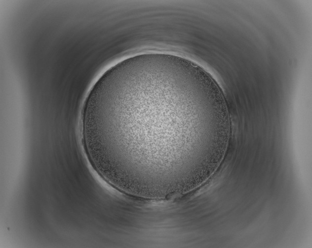 X0000110981531200906261419