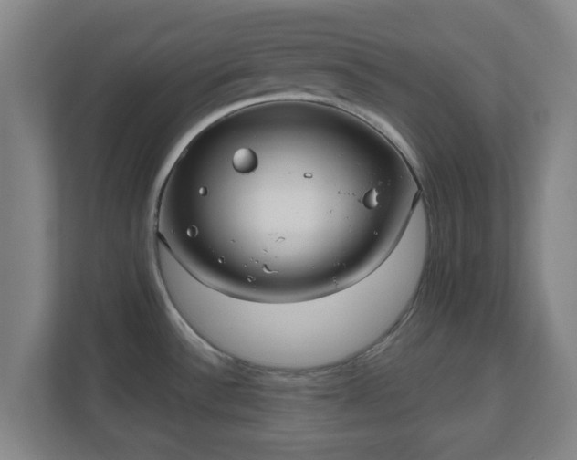 X0000110981532200906261419