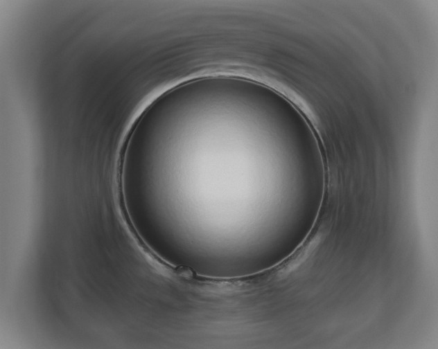 X0000110981533200906261419