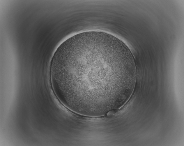 X0000110981534200906261419