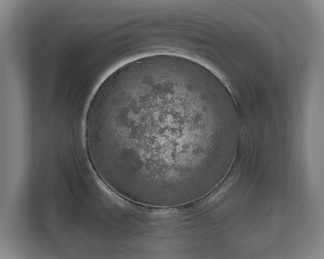 X0000110981535200906261419