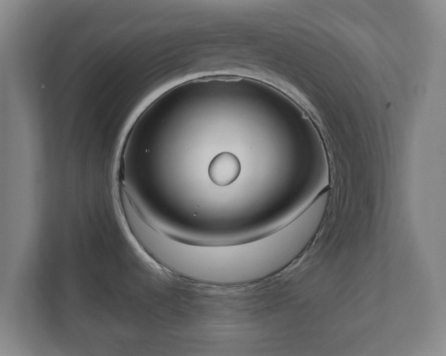 X0000110981536200906261419