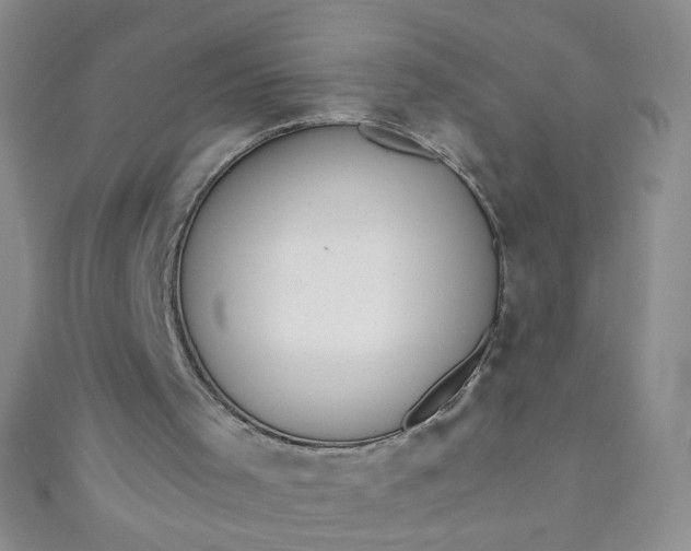 X0000110980001200907022106