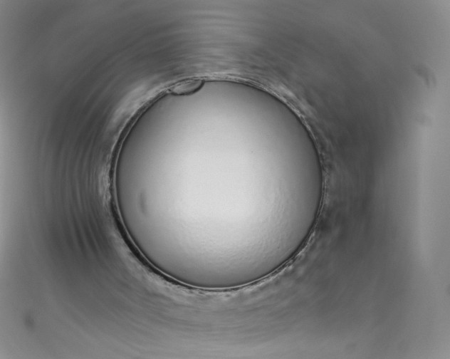 X0000110980002200907022106