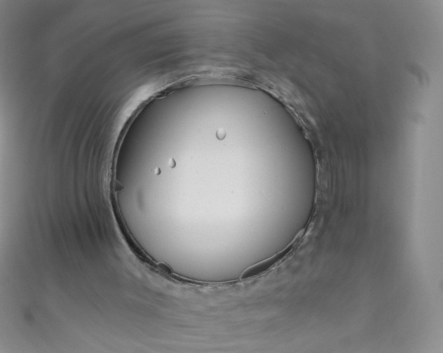 X0000110980003200907022106