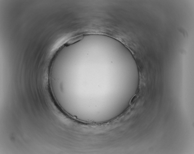 X0000110980005200907022106