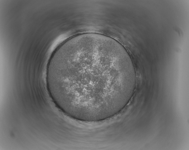 X0000110980006200907022106