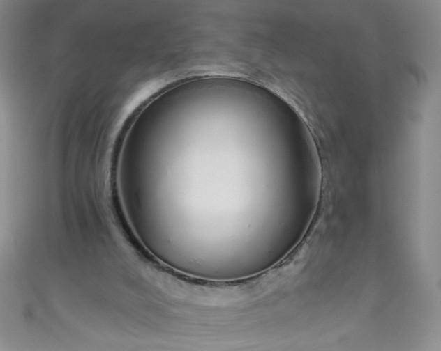 X0000110980008200907022106