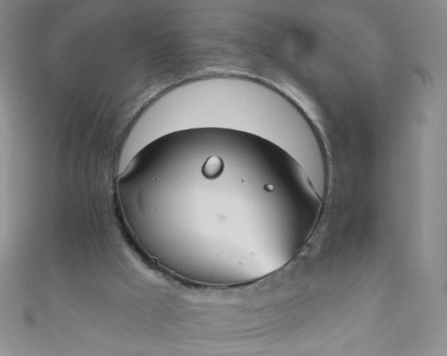 X0000110980009200907022106