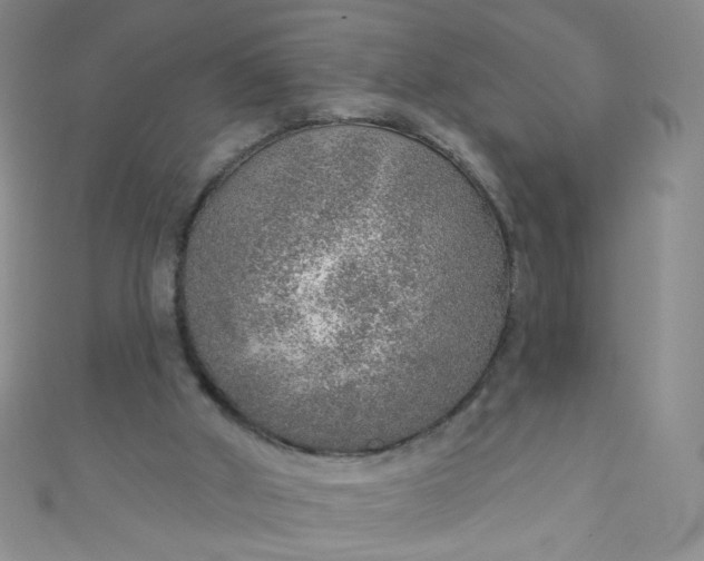 X0000110980010200907022106