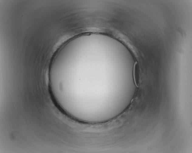 X0000110980011200907022106