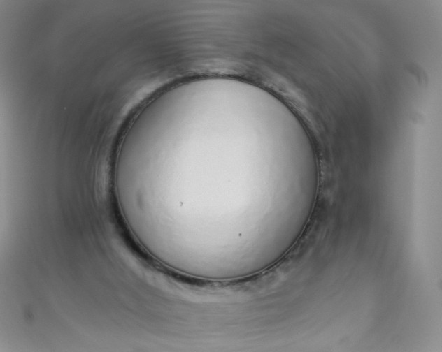 X0000110980012200907022106