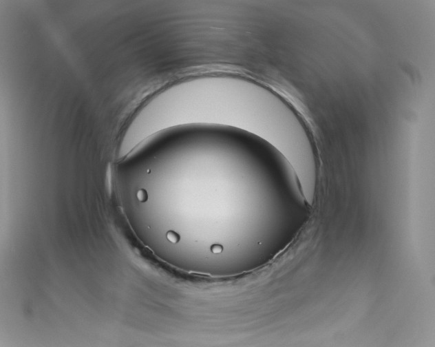 X0000110980013200907022106