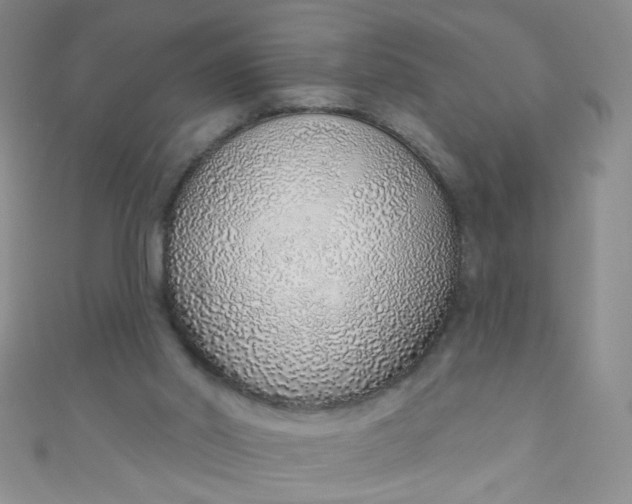 X0000110980014200907022106