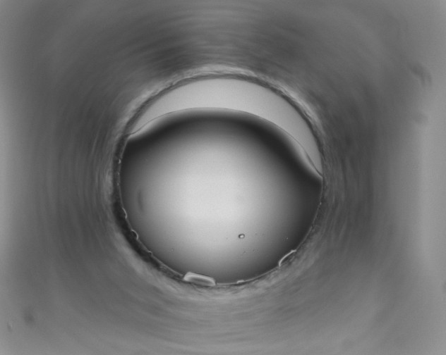 X0000110980015200907022106