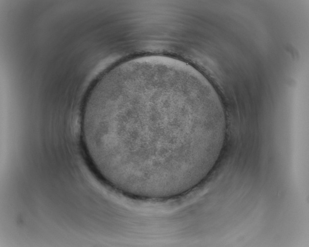 X0000110980016200907022106