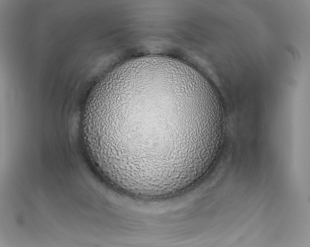 X0000110980018200907022106