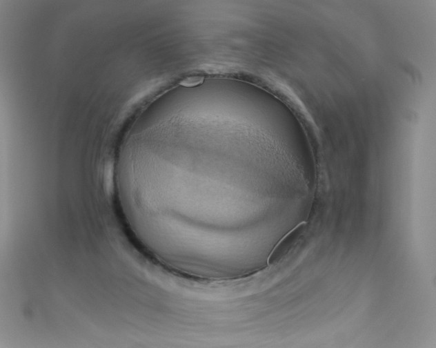 X0000110980019200907022106