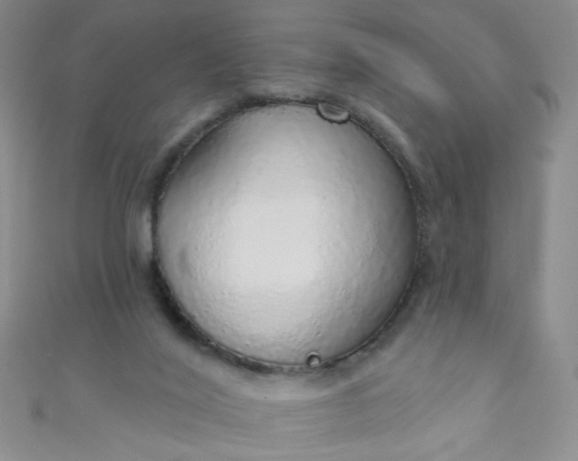 X0000110980020200907022106