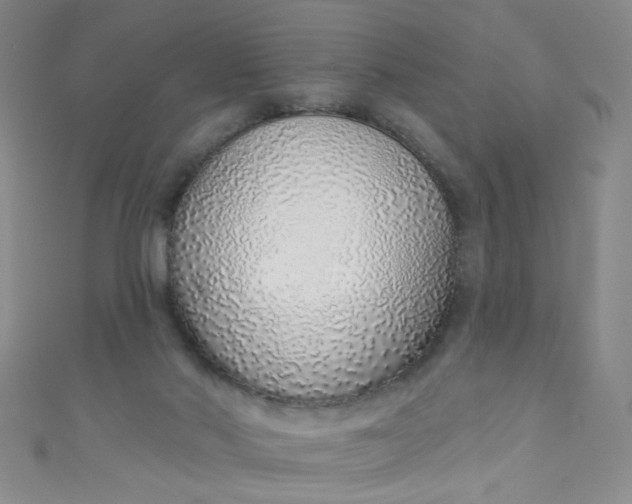 X0000110980022200907022106