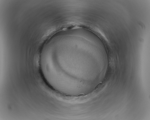 X0000110980023200907022106