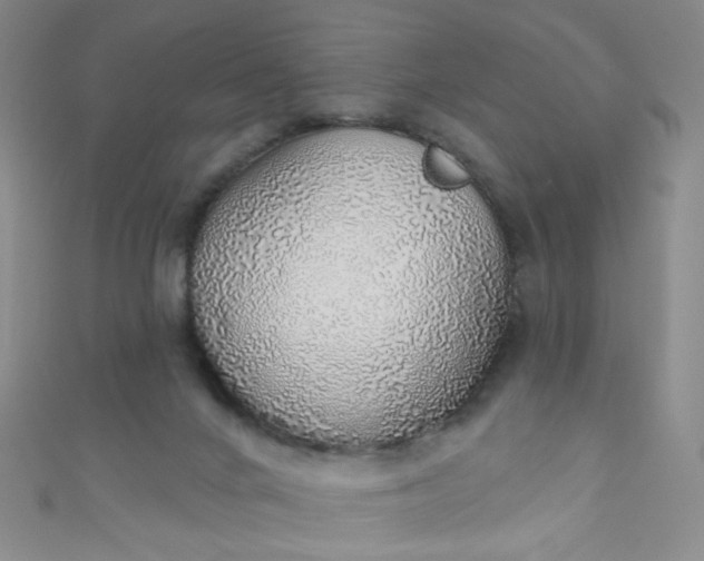 X0000110980024200907022106