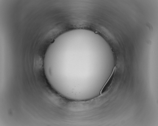 X0000110980025200907022105