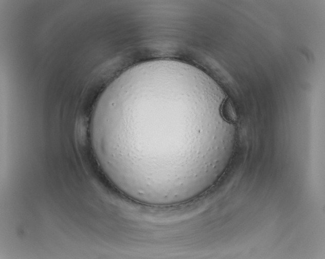 X0000110980026200907022105