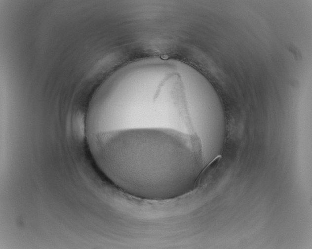 X0000110980027200907022105