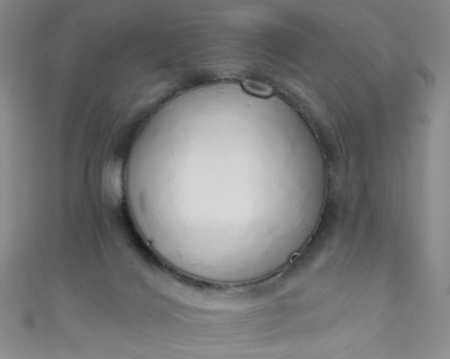 X0000110980028200907022105