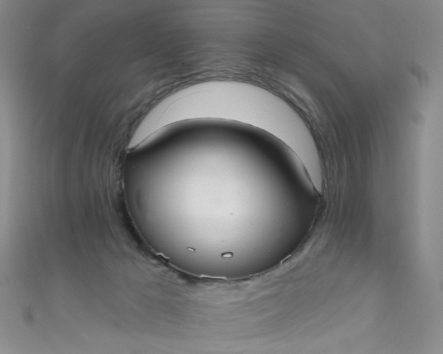 X0000110980029200907022105