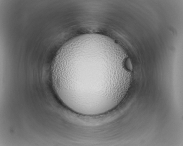 X0000110980030200907022105