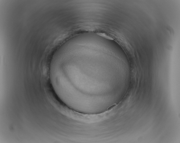 X0000110980031200907022105