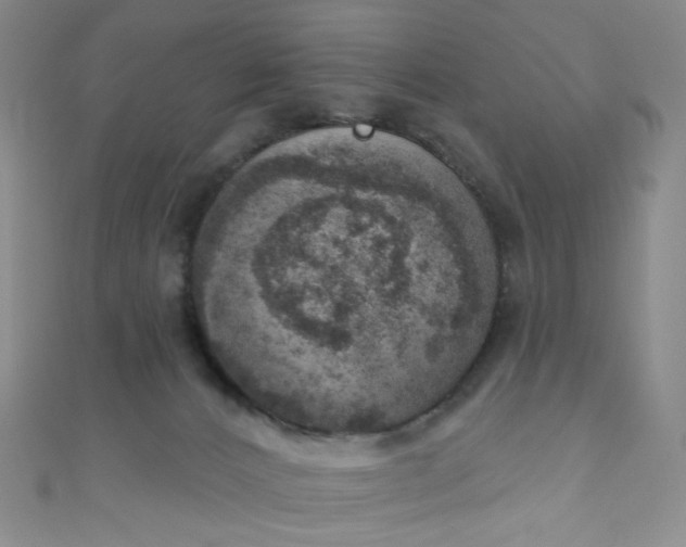 X0000110980032200907022105