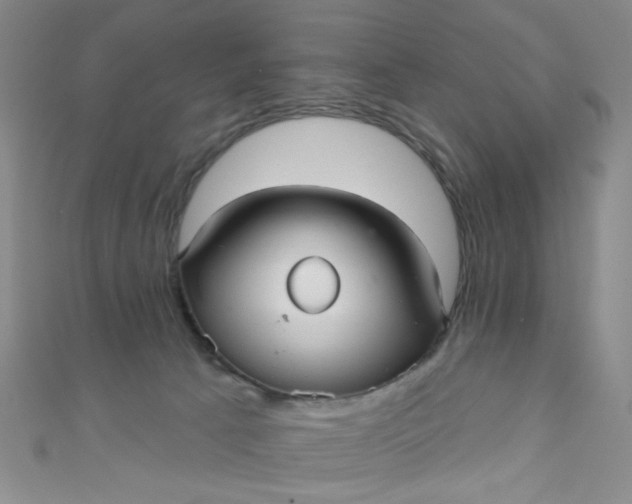 X0000110980033200907022105