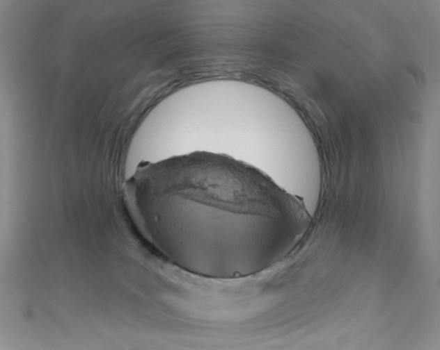 X0000110980035200907022105