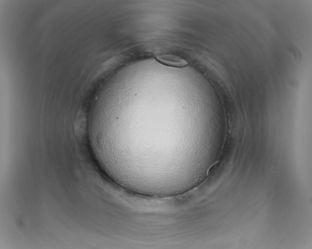 X0000110980036200907022105