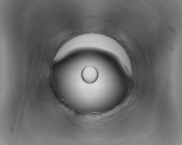 X0000110980037200907022105