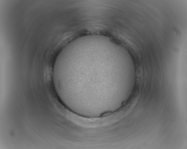 X0000110980038200907022105