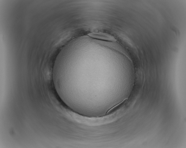 X0000110980039200907022105