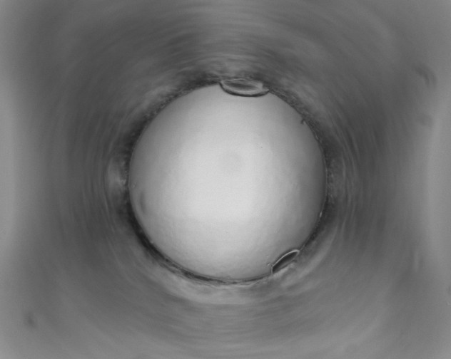 X0000110980040200907022105