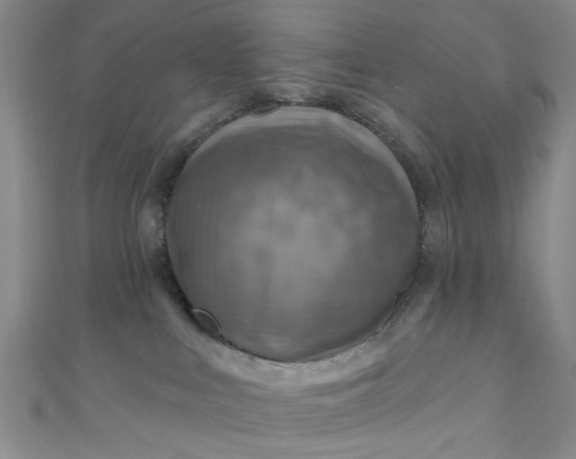 X0000110980043200907022105