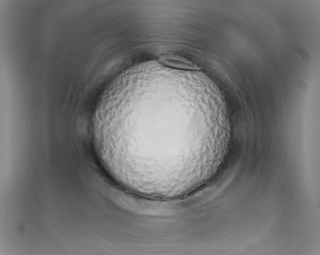 X0000110980044200907022105