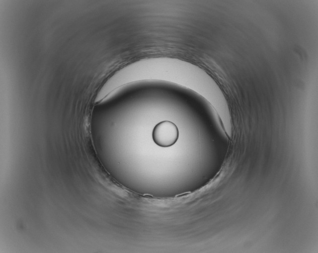 X0000110980045200907022105