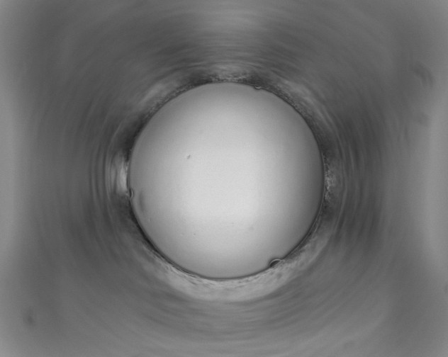 X0000110980046200907022105