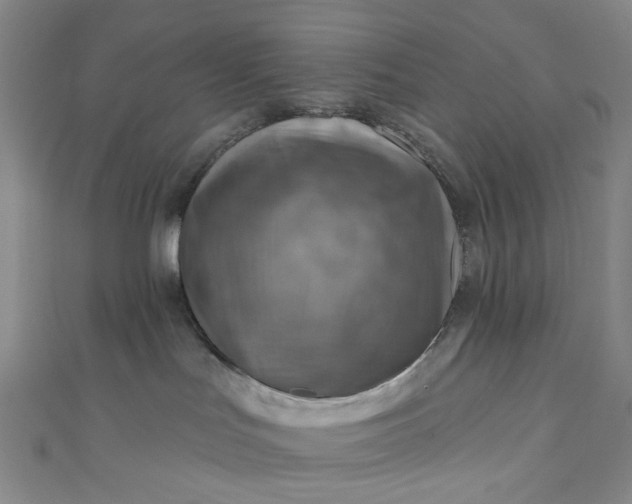 X0000110980047200907022105